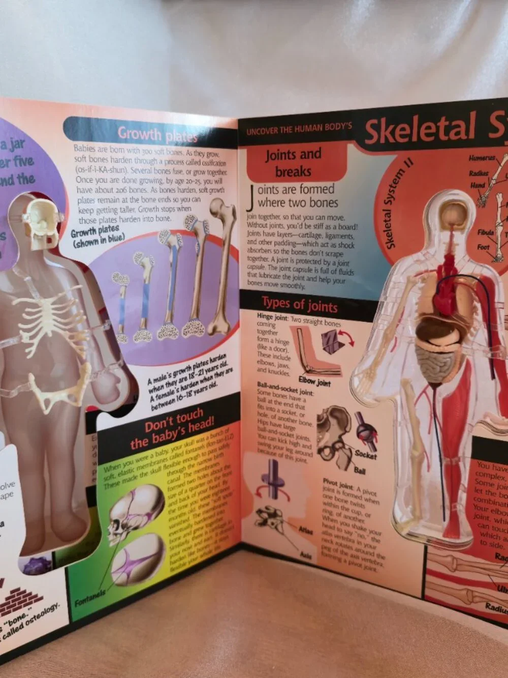 BOOK UNCOVER THE HUMAN BODY 2002 by LUANN COLUMBO